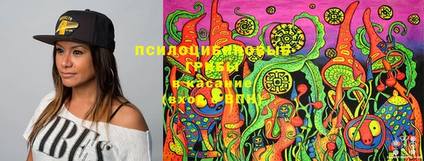 круглые Аркадак