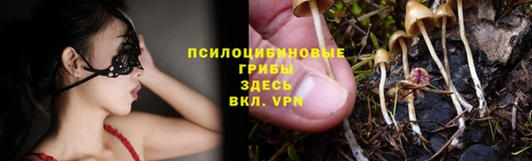 круглые Аркадак