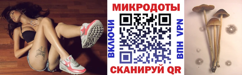 цена   Волгодонск  Галлюциногенные грибы мицелий 